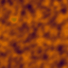 orange6.gif